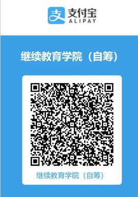 缴纳费用 缴纳费用